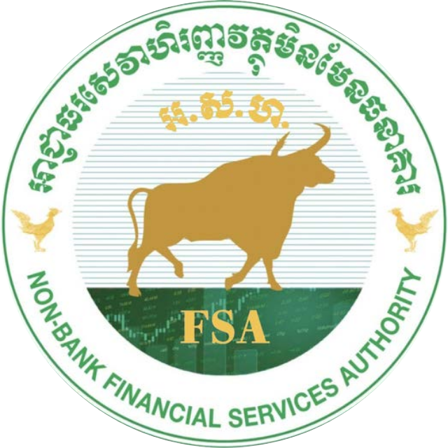 NON-BANK FINANCIAL SERVICE AUTHORITY